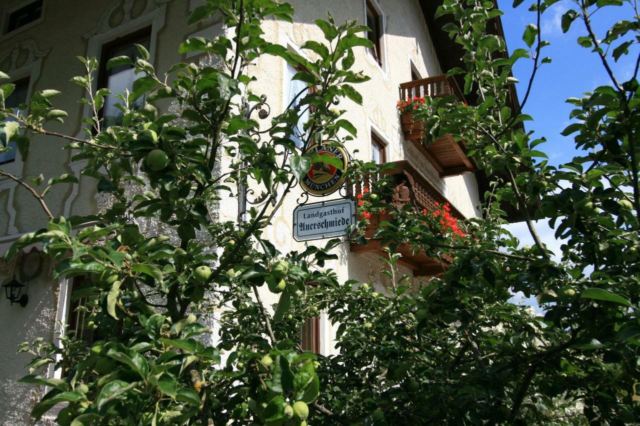Landgasthof Auerschmiede Иршенберг Екстериор снимка